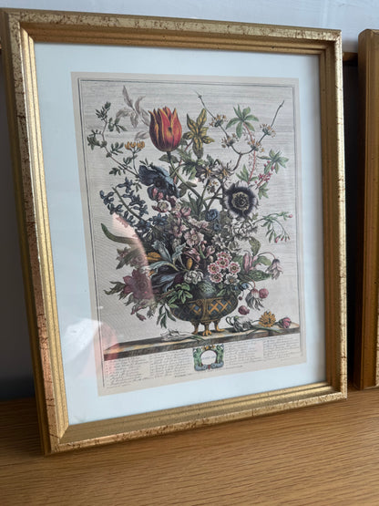 Framed Floral Prints 9x11