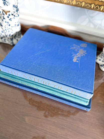Blue Book Stack