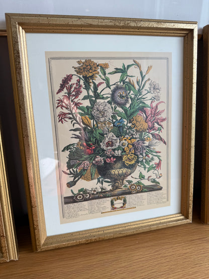 Framed Floral Prints 9x11